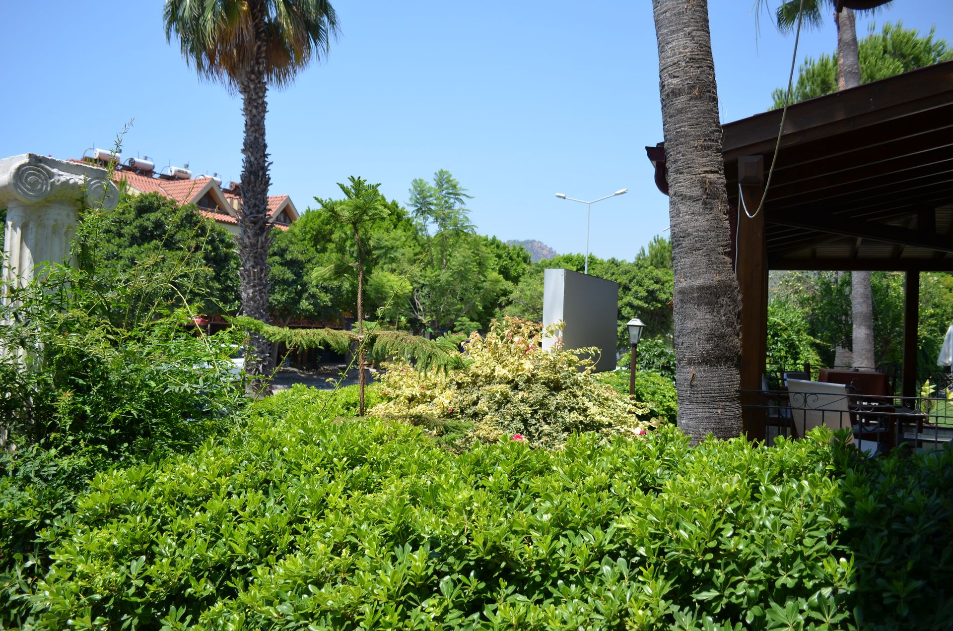 Palmiye ağaçlı otel bahçesi